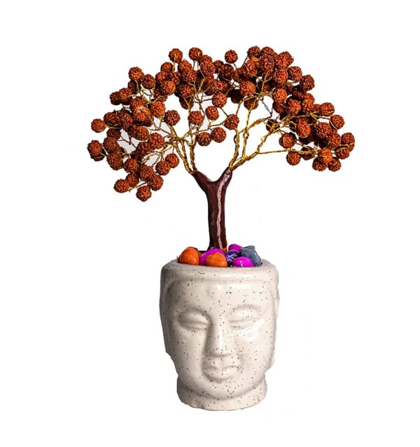 Handmade Rudraksha Tree Set of 2